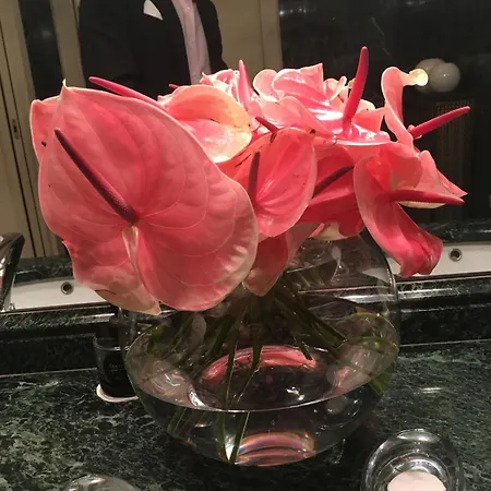 Penshouse Appartamento Lecco