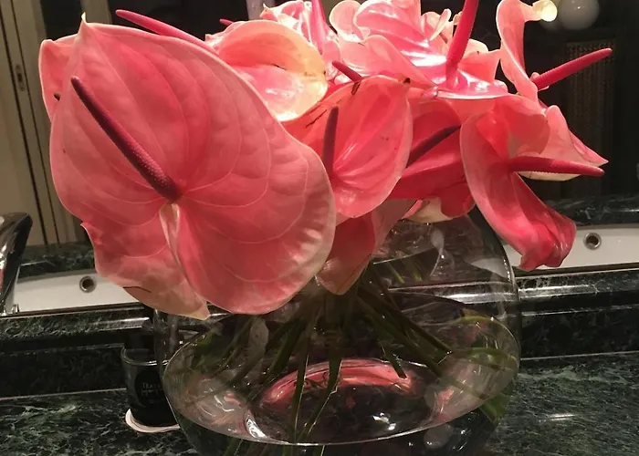 Penshouse Apartamento Lecco